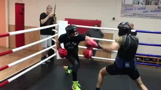 Boxing Club "Mizia 80" Pleven. Sparring Session 2. Pro Boxers