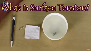 What is Surface Tension? Kids Science Experiments