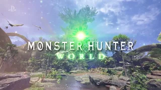 Every Single Monster Hunter Game (2004-2018)