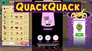 QuackQuack - полное руководство по игре. Как играть в QuackQuack. Игра с Аирдропом.