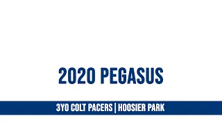 2020 Pegasus - Catch The Fire - 3CP