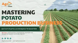 Potato Farming Masterclass: Techniques, Variety, Soil Health and Crop Protection Strategies