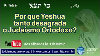 Por que Yeshua tanto desagrada o Judaísmo Ortodoxo? (Ki Tetsê)