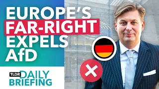 Why Germany's AfD is Losing All its Allies