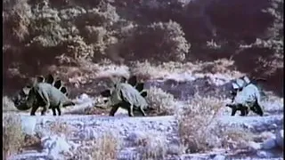 semana de peliculas presenta: el planeta de los dinosaurios 1978 estreno 10/11/2020