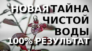 ТАЙНА КРИСТАЛЬНО ЧИСТОЙ ВОДЫ 100% РЕЗУЛЬТАТ