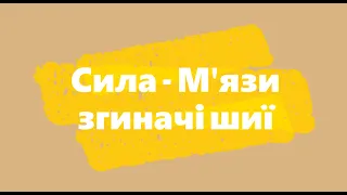 Зміцнення м'язів згиначів шиї