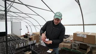 How Many Seeds Should Be Planted Per Container When Seed Starting