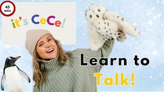 Learn to Talk I Baby & Toddler Learning, Speech, and Sign Language with It’s CeCe! I Winter Animals