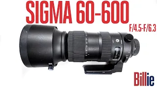 SIGMA 60-600mm f/4.5-f/6.3 SPORT REVIEW: A Great SPORT & WILDLIFE LENS Under $2,000.