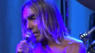 foires aux vins colmar 2015 iggy pop