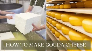 Making Gouda Cheese (47)