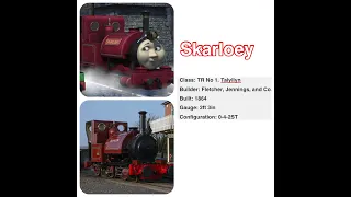 Thomas and friend real life pt2(skarloey railway narrow gauge engine)
