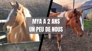 MYA à 2 ans !! ♥ un peu de nous ...