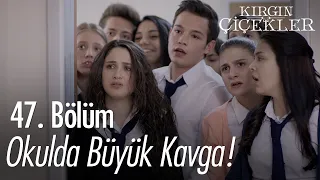 Büyük kavga! - Kırgın Çiçekler 47. Bölüm