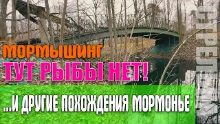 #24 Тут Рыбы нет | ...И другие похождения мормонье))) #мормышинг