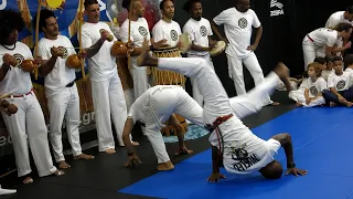 Batizado/Formatura Mestrando 2023, Nucleo Capoeira, #7 - Formatura!