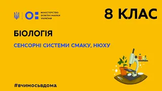 8 клас. Біологія. Сенсорні системи смаку, нюху (Тиж.1:ВТ)