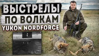 Охота на волка. Заколдованный волк! Выстрелы по волкам с Yukon Nordforce.