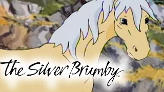 The Silver Brumby | Episodes 6-10 2 HOUR COMPILATION (HD - Full Episode)