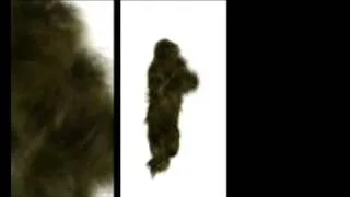 Crazy Bigfoot Dance! really funny