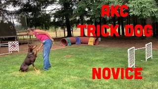 AKC Trick Dog - Novice