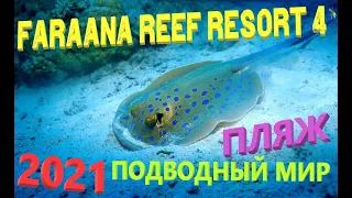 73. Египет. Осень 2021. FARAANA REEF RESORT 4*. Пляж отеля. Подводный мир и обитатели Красного моря.