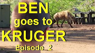 Kruger National Park : #BenGoes2Kruger Ep 2 - Hyena @ Tshokwane | Skukuza Sunset Drive | Lake Panic