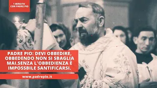 Padre Pio:Devi obbedire, obbedendo non si sbaglia mai.Senza l'obbedienza è impossibile santificarsi.