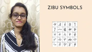 ज़िबू प्रतीक क्या हैं What are Zibu Symbols (in Hindi)