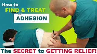 THE SECRET TO LASTING CHRONIC LOW BACK RELIEF [Expert Chiropractor Denville, NJ]