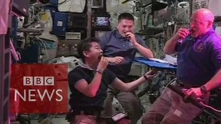 Space-grown lettuce for ISS astronauts - BBC News