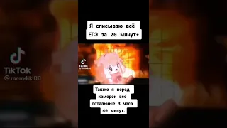 Мемы по ТикТоку #255