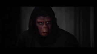 Conquest of the Planet of the Apes (1972) Caesar builds the revolution part 1