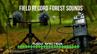 Field Record Forest Sounds | ZOOM H5 - LOM USI PRO mic | Audio Spectrum | #ASMR