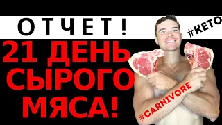 КЕТО КАРНИВОР диета ОТЗЫВ! Как работает мозг на кето. Мозг и кишечник. Карнивор питание. Сырое мясо.