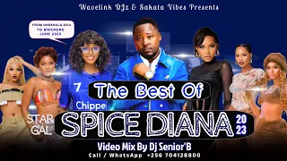 The Best Of SPICE DIANA Video Mix - Dj Senior'B [All Spice Diana Popular Music Videos Hits]
