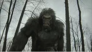 BIGFOOT STALKS