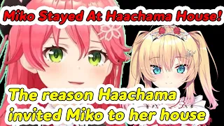 The moment Miko fell back in love with Haachama.【Hololive/Engsub】