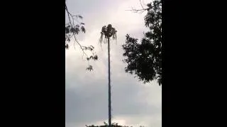 Mayan ritual at ruins in Tulum, Mexico