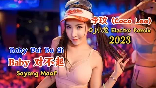 李玟 (Coco Lee) - Baby对不起 - (Dj小龙 Electro Remix 2023) - Baby Dui Bu Qi - Sayang Maaf #dj抖音版2023