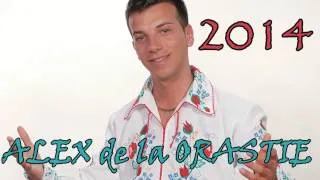 Best of ALEX de la ORASTIE - COLAJ 2014