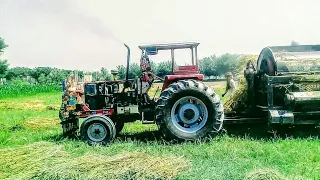 Wheat Thresher Machine & Big Tractor Power Fails 😭|| Paddy Thresher Cutting Wheat