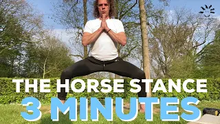 Horse Stance 3 Minutes