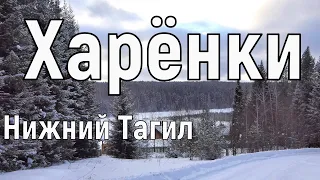 д.Харёнки, памятник А.Демидову на р.Чусовая, закрыт для обычных людей. Нижний Тагил 4.02.2021 г.(4К)