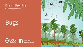 Learn English Via Listening | Beginner: Lesson 47. Bugs