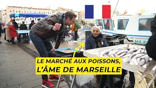 Le marché aux poissons du Vieux-Port de Marseille, l'âme des passionnés – Un Monde à part
