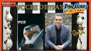 Las voces detras de la serie los pingüinos de madagascar #03 (Marshall fandub doblaje)