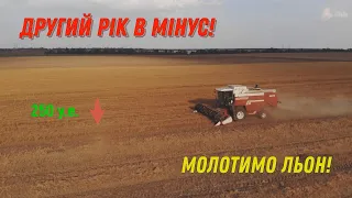 ДРУГИЙ РІК В МІНУС! МОЛОТИМО ЛЬОН! ЖНИВА 2023!