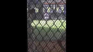 deGrom warming up 2016